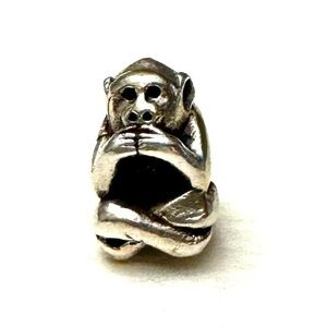 Pandora-like Monkey Charm